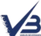 v3.webp