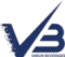 v3.webp